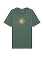 view 2 of 3 Hod Postcard Tee in Forest