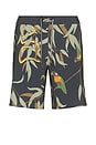 view 1 of 6 Passage Swim Short in Gum Tree Charcoal