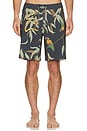 view 5 of 6 Passage Swim Short in Gum Tree Charcoal