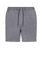 view 1 of 6 Shorey Swim Short in Slate