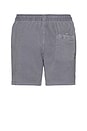 view 2 of 6 Shorey Swim Short in Slate