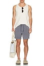view 6 of 6 Shorey Swim Short in Slate