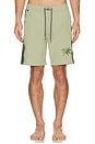 view 5 of 5 Passage Hemp Swim Short in Sage