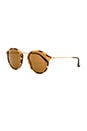 view 2 of 3 Round Fleck in Tortoise & Brown Classic B-15