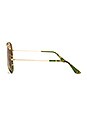 view 3 of 3 Aviator Full Color in Army Gold & Brown Classic in Army & Gold & Brown Classic