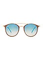 view 1 of 3 LUNETTES DE SOLEIL 0RB3546 in Gold Top Beige