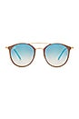 view 1 of 3 GAFAS DE SOL 0RB3546 in Gold Top Beige