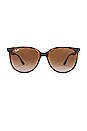 view 1 of 3 LUNETTES DE SOLEIL CLASSIC in Havana & Gradient Brown