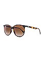 view 2 of 3 LUNETTES DE SOLEIL CLASSIC in Havana & Gradient Brown