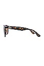 view 3 of 3 LUNETTES DE SOLEIL RECTANGLE in Havana & Brown