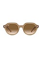 view 1 of 3 LUNETTES DE SOLEIL GINA in Light Brown