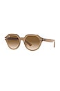 view 2 of 3 GAFAS DE SOL GINA in Light Brown