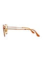 view 3 of 3 LUNETTES DE SOLEIL EVOLVE in Copper & Light Yellow