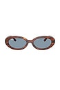 view 1 of 3 Oval Sunglasses in Striped Havana