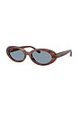 view 2 of 3 Oval Sunglasses in Striped Havana