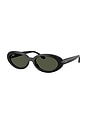 view 2 of 3 Oval Sunglasses in Black