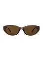 view 1 of 3 Oval Sunglasses in Dark Brown - Polar