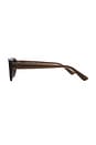 view 3 of 3 Oval Sunglasses in Dark Brown - Polar