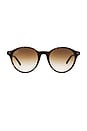 view 1 of 3 Bernard Sunglasses in Havana