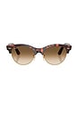 view 1 of 3 Clubmaster Way Sunglasses in Pink Tortoise
