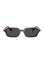 view 1 of 3 Zuri Sunglasses in Havana