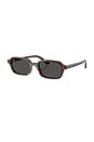 view 2 of 3 Zuri Sunglasses in Havana