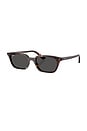 view 2 of 3 Zaya Sunglasses in Havana