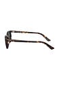view 3 of 3 Zaya Sunglasses in Havana