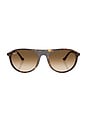 view 1 of 3 Shield Sunglasses in Havana