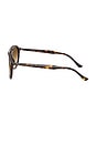 view 3 of 3 Shield Sunglasses in Havana