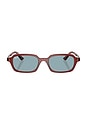 view 1 of 3 Zuri Sunglasses in Rosty Brown