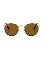 view 1 of 3 Round Metal Sunglasses in Matte Havana