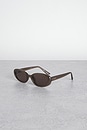 view 2 of 4 Oval Sunglasses in Opal Brown