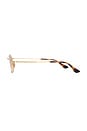 view 3 of 3 Rectangular Sunglasses in Brown & Gold