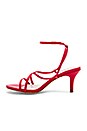 view 5 of 6 x STONE_COLD_FOX Vine Heel in Red