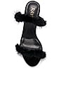 view 4 of 6 Coraline Heel in Black