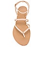 view 4 of 5 Void Sandal in Nude
