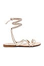 view 1 of 5 Chance Sandal in Nude