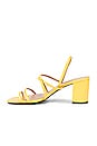 view 5 of 6 Portland Heel in Pale Yellow