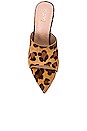 view 4 of 5 ESCARPINS OLIVER in Tan Leopard