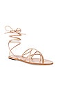 view 2 of 5 Siam Sandal in Nude