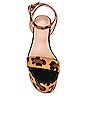 view 4 of 5 Safari Heel in Tan Leopard