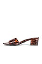 view 5 of 5 MULES MINDI in Tortoise