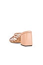 view 3 of 5 Helix Sandal in Nude