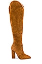 view 1 of 5 Outlaw Boot in Dark Tan
