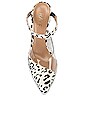 view 4 of 6 Creed Heel in Black & White