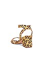 view 3 of 6 SANDALES ARC in Tan Leopard