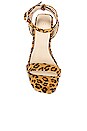 view 4 of 6 SANDALES ARC in Tan Leopard