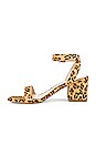 view 5 of 6 SANDALES ARC in Tan Leopard