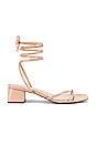 view 1 of 6 Moses Heel in Nude